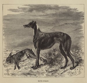 سيد M&39;Grath